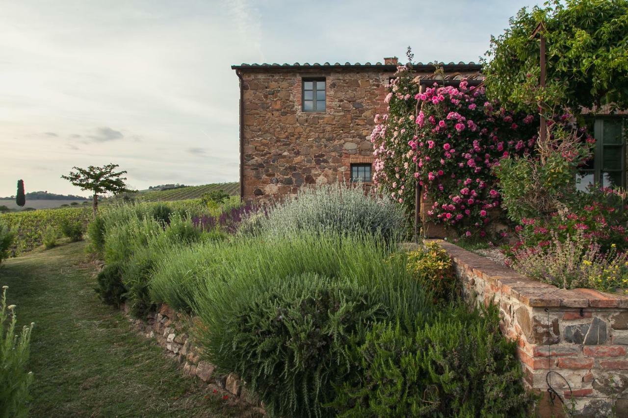 Follonico 4-Suite B&B Torrita di Siena Extérieur photo