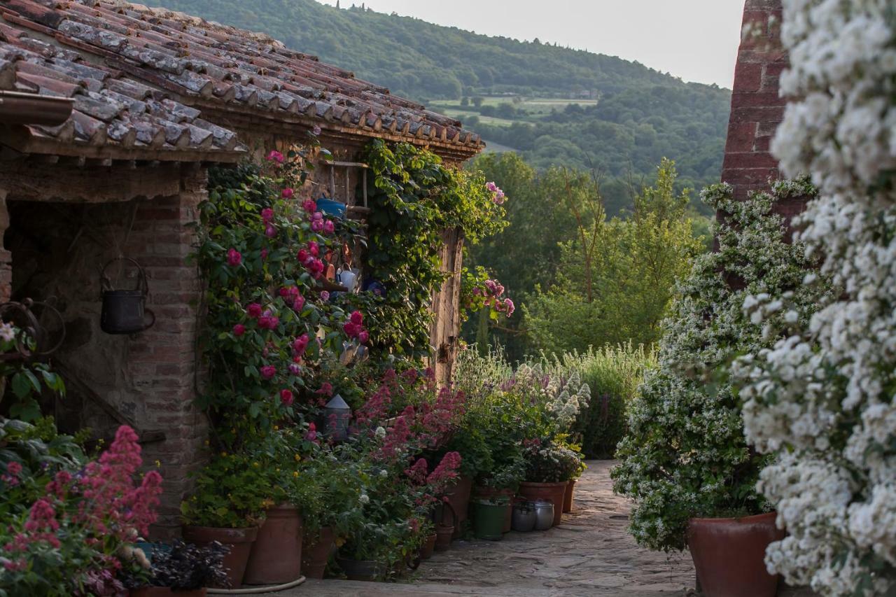 Follonico 4-Suite B&B Torrita di Siena Extérieur photo